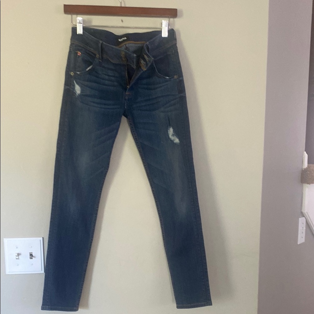 Hudson Jeans Blue Skinny Denim